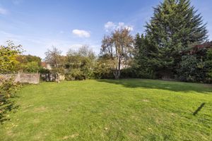 Communal garden- click for photo gallery